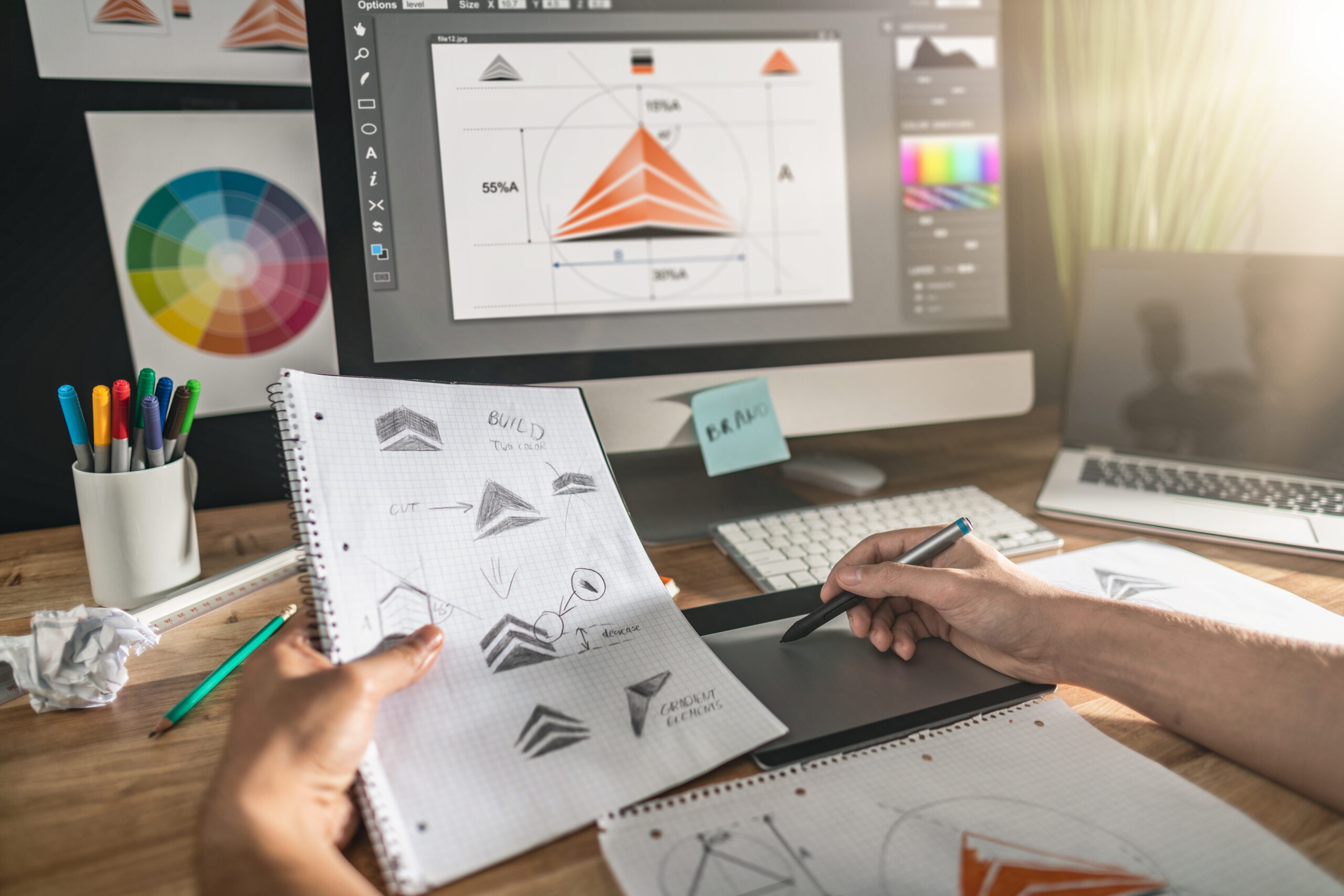 Professional Logo Design